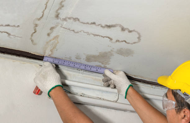 24/7 Emergency Structural Drying experts in Newport, MI