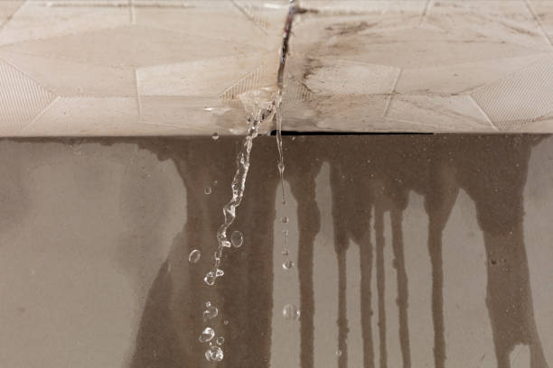 Professional Structural Drying technician working in Newport, MI